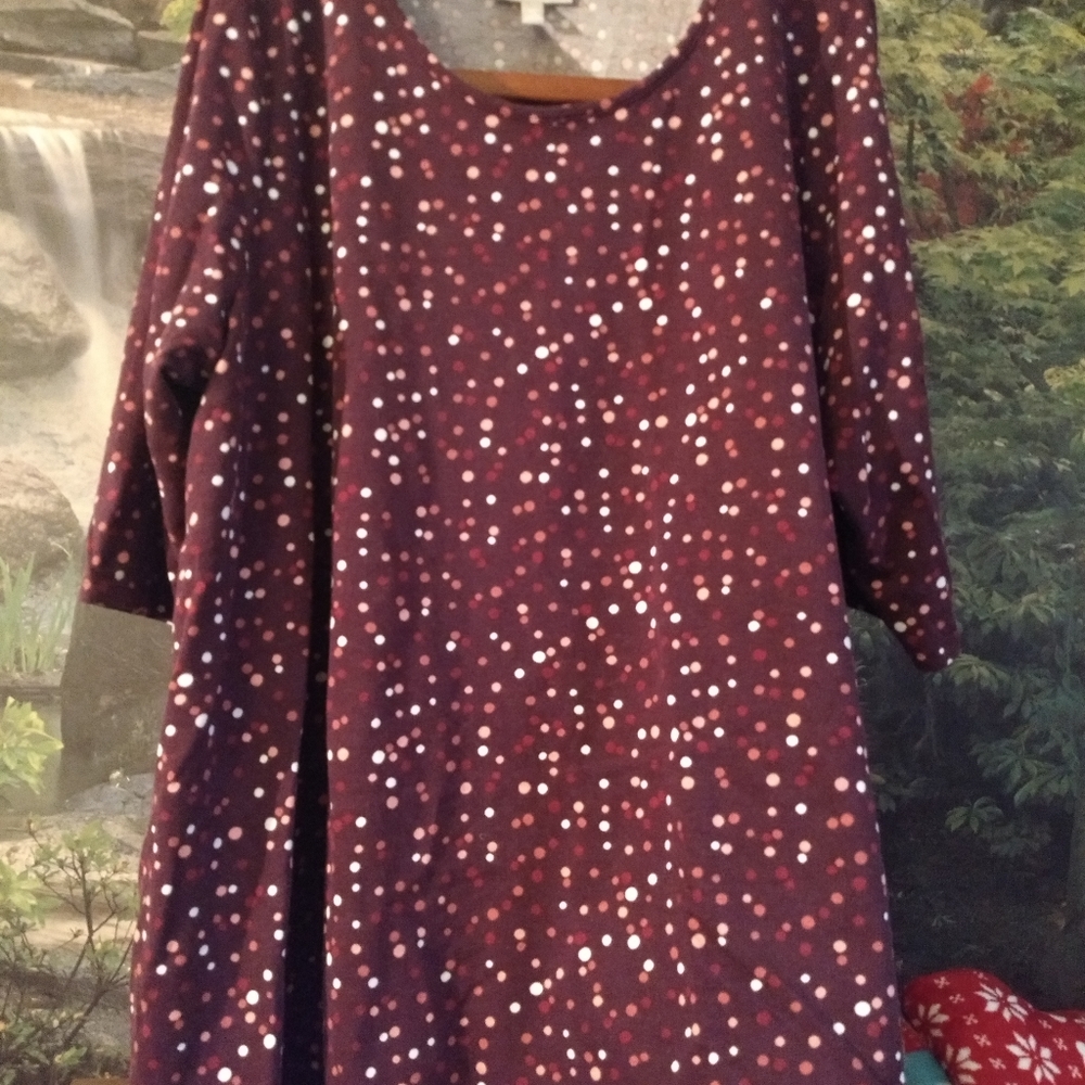 Woman Within Sharkbite Tunic and Leggings